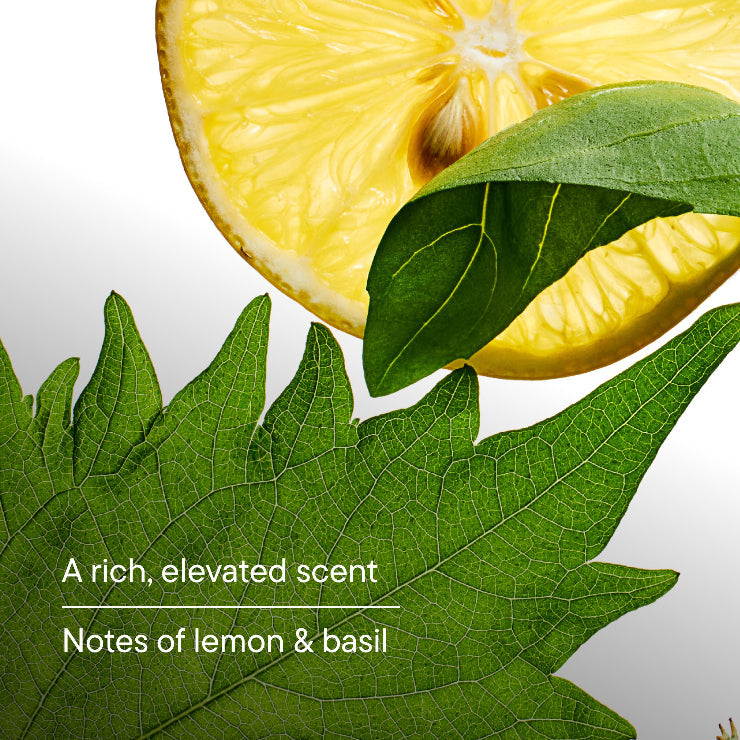 Body Wash